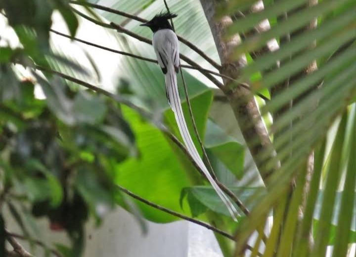 Dinuri Villa Tangalle Buitenkant foto
