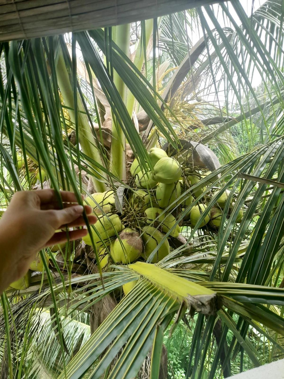 Dinuri Villa Tangalle Buitenkant foto