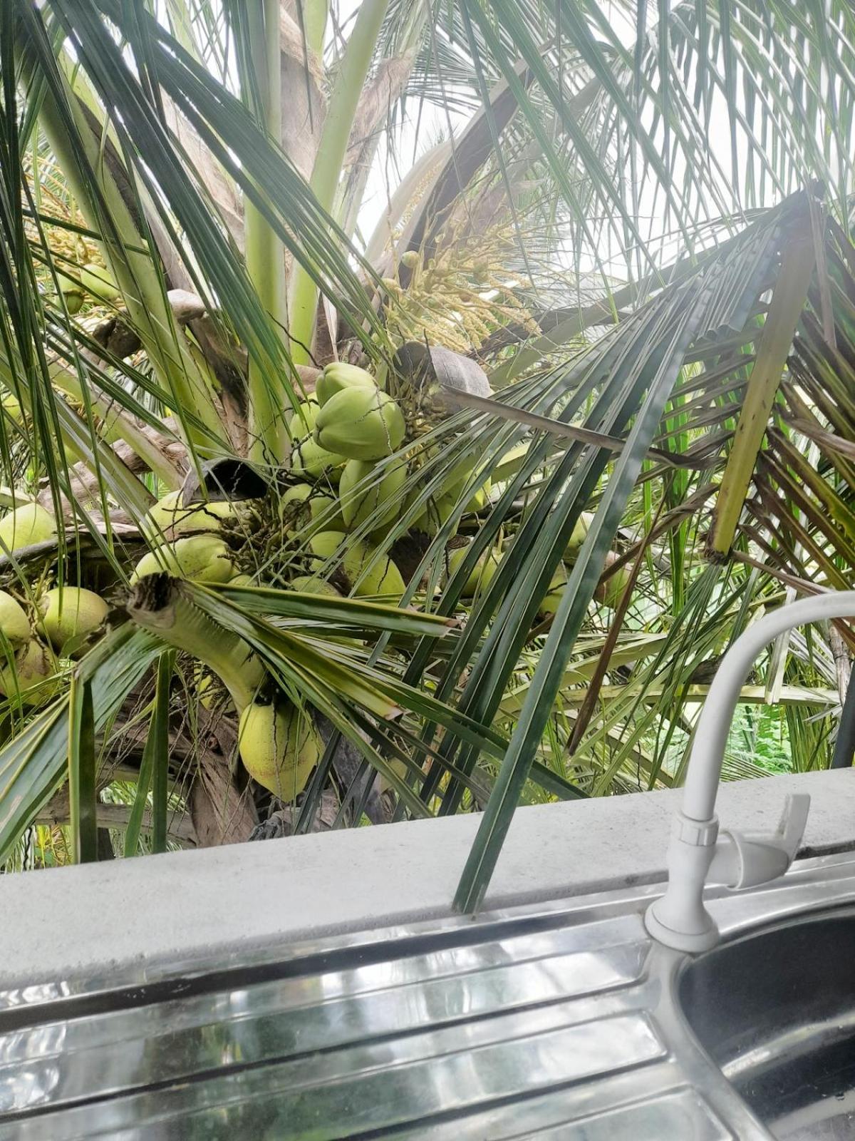 Dinuri Villa Tangalle Buitenkant foto